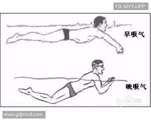 蛙泳呼吸技巧全面解析:如何掌握呼吸节奏与姿势,提升游泳效率
